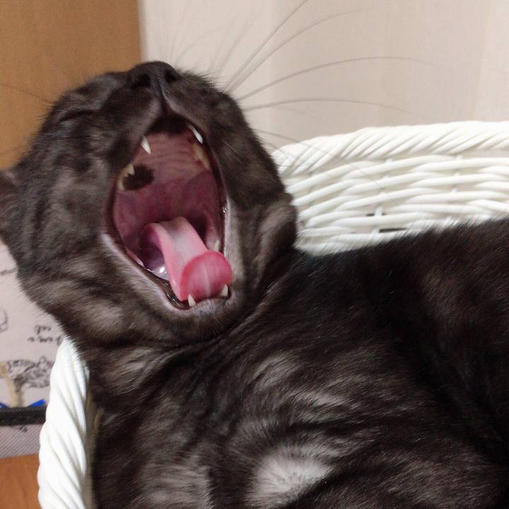 6bb7cea3 8e68 4fa4 ac22 7d63c1319584 1560038581007