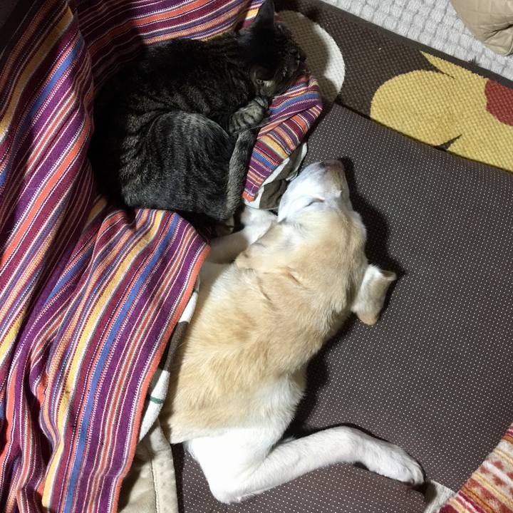 6bb7f80d 0036 4873 9c7e f03fa6e03972 1522156769336