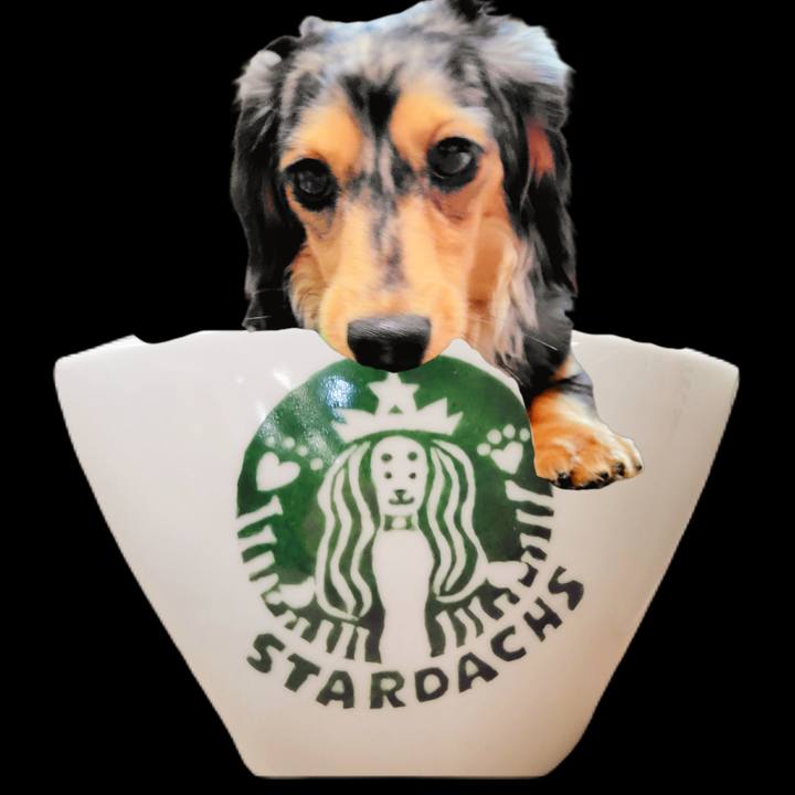 6bb83cfb 050e 4feb ac56 5e658d703ef7 1761395239743