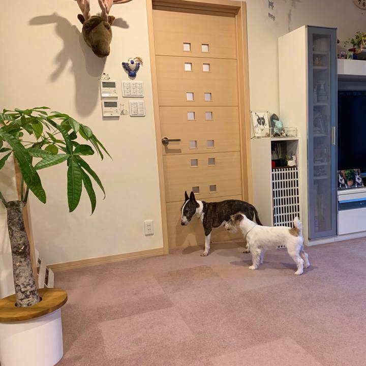 6bb8463c 3189 4080 a00d 4fa9e3bb62ad 1594891180388