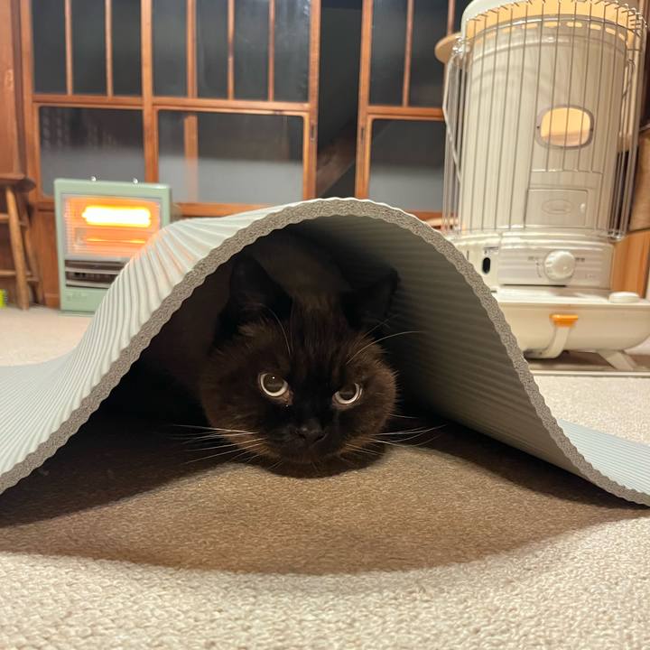 6bb8529d b53b 4a78 8e29 3c1e35ad12f7 1738320976218