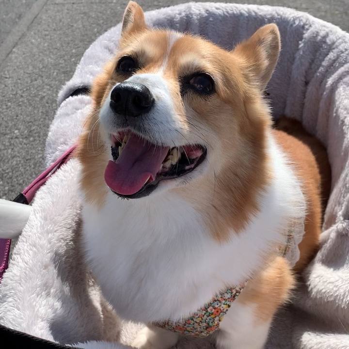 6bb85600 fe47 4101 9594 2038fc4eff62 1676694552223