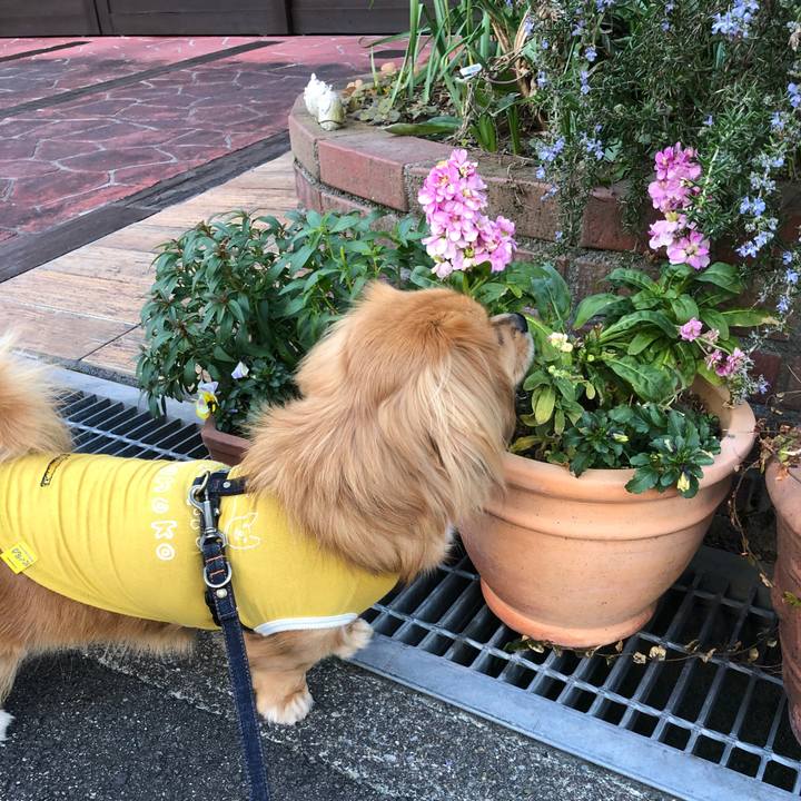 6bb88d77 3343 4ef0 a354 30fdfd7f8e52 1520041121875