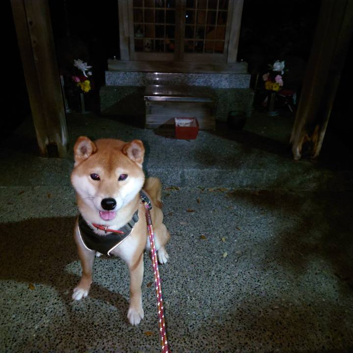 6bb8d36b c21d 42bc 866f bdcded014d9a 1766710216678