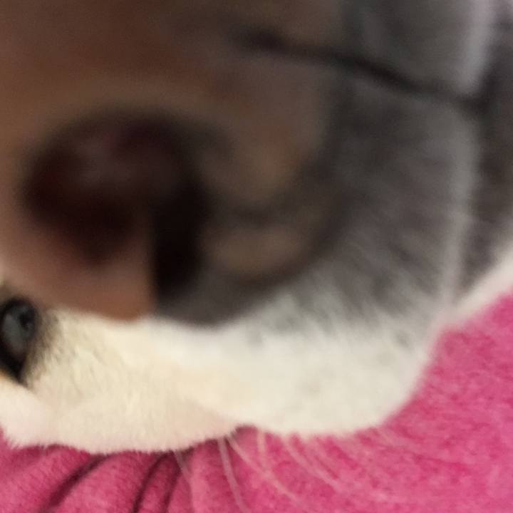 6bb8e1c5 8050 4171 92df b52be0c095e8 1524106846368