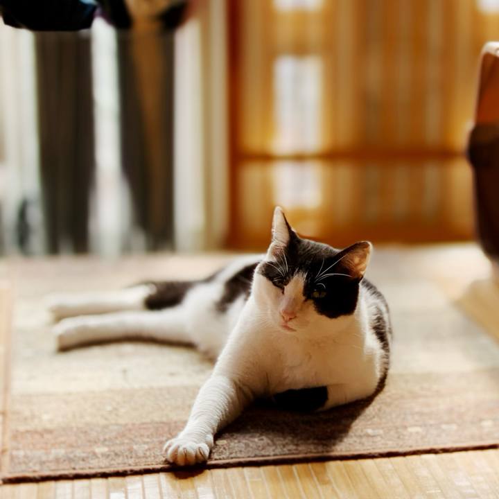 6bb8e2dc 7de4 4488 83a6 9bbbfa526c24 1597544047986