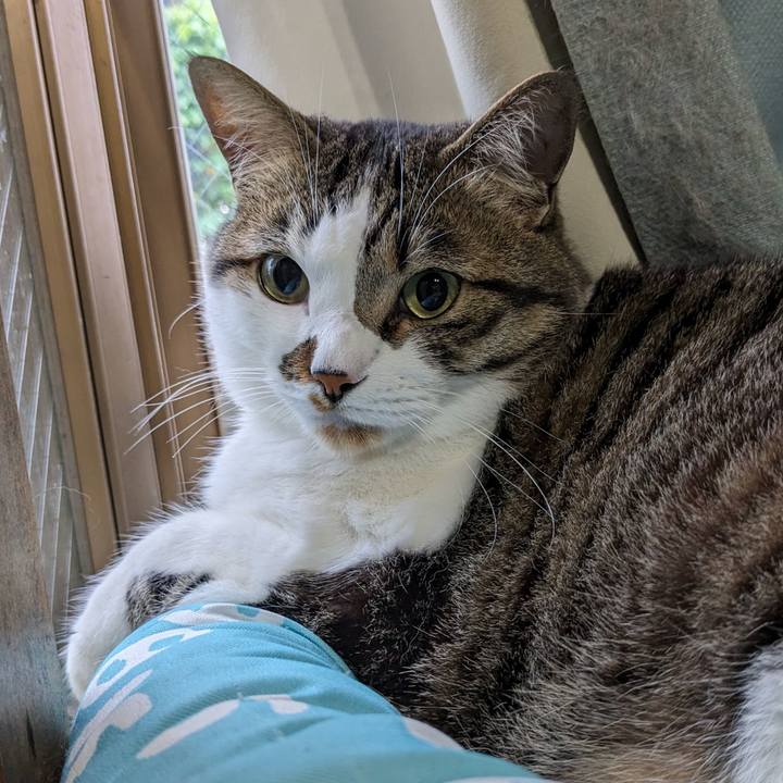 6bb91434 186c 4621 9ff2 b9fa08477521 1715635213556