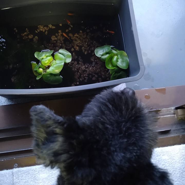 6bb915e7 c890 45cb 8c8a e45039fc396f 1618218701243