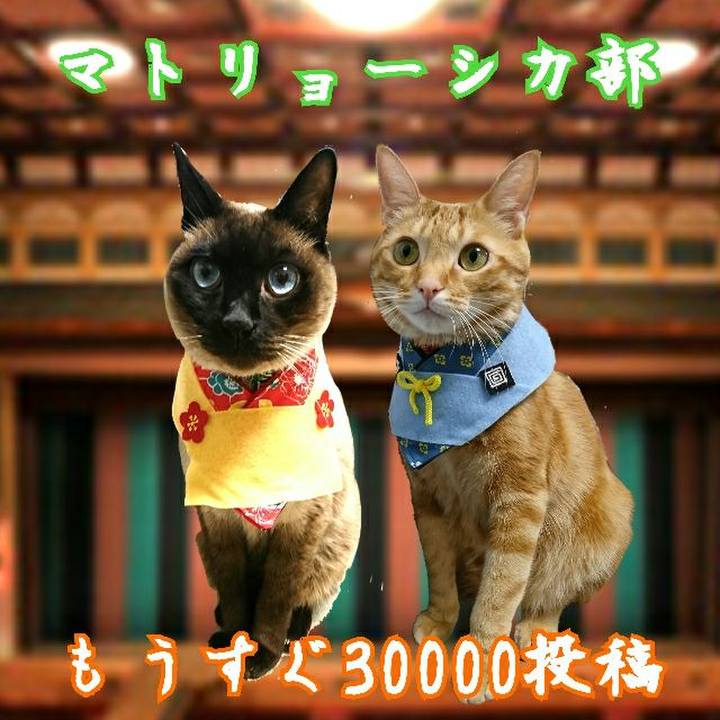 6bb9300e 1a70 4706 8c73 25f30685ecf5 1544821435822