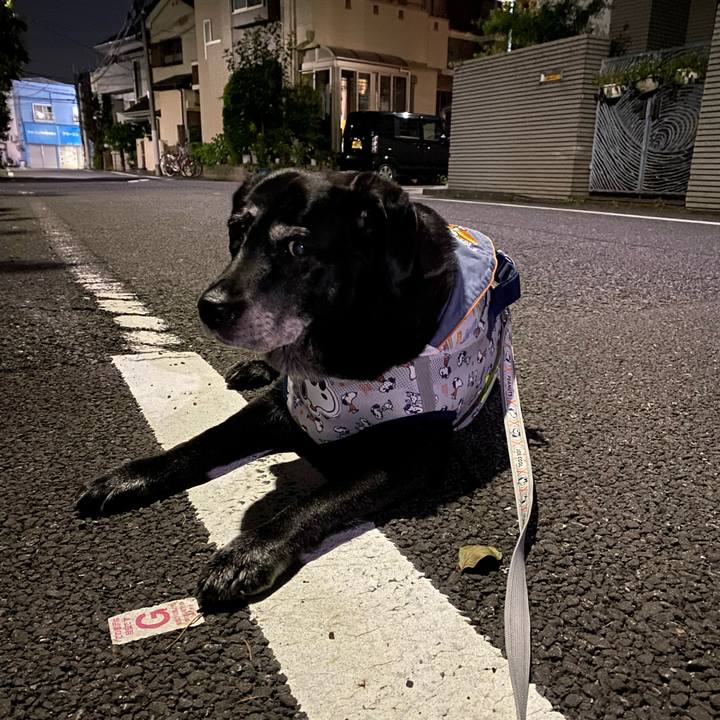 6bb940c5 1eb4 4977 89c2 934d22ac9cd5 1696518769954