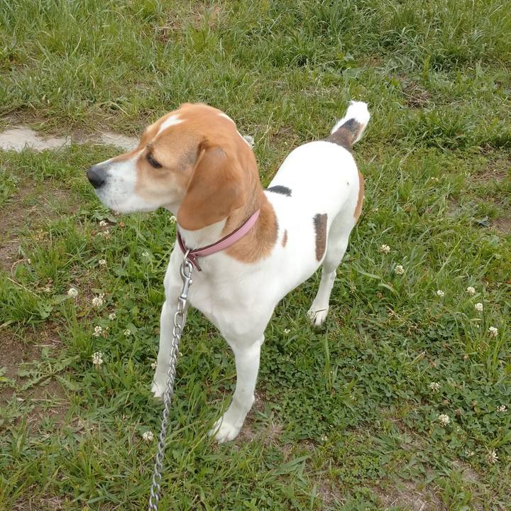 6bb9a032 dfd0 45d7 aa9c a32eb562d574 1589783596177