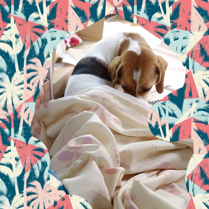 6bb9ae4a 7004 4228 9aca f2379dfcdb3d 1597227811306