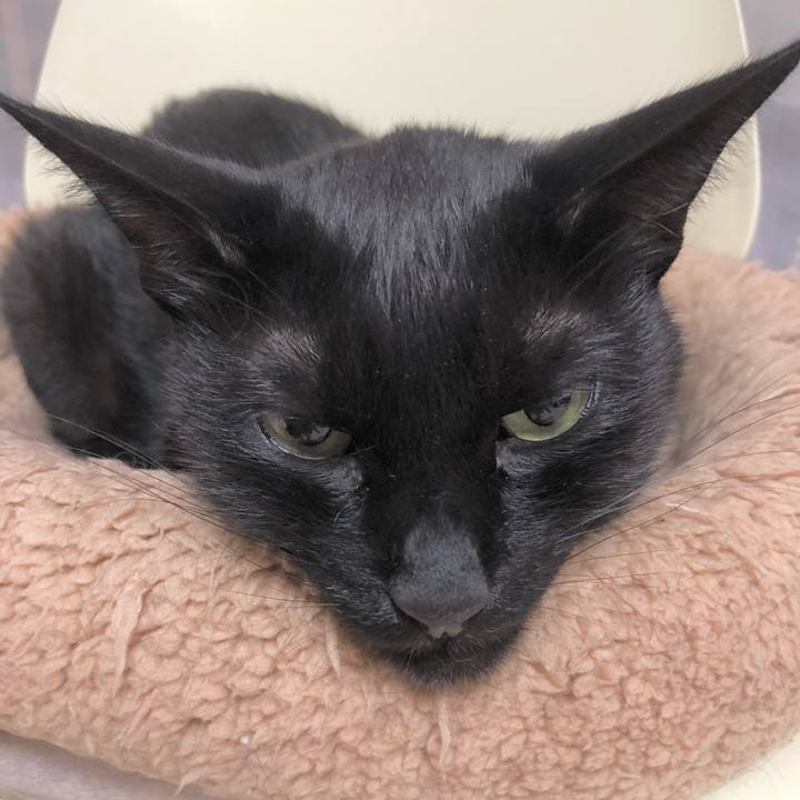 6bb9bbb1 e25c 4fd0 b595 d41f4454951d 1625575994730