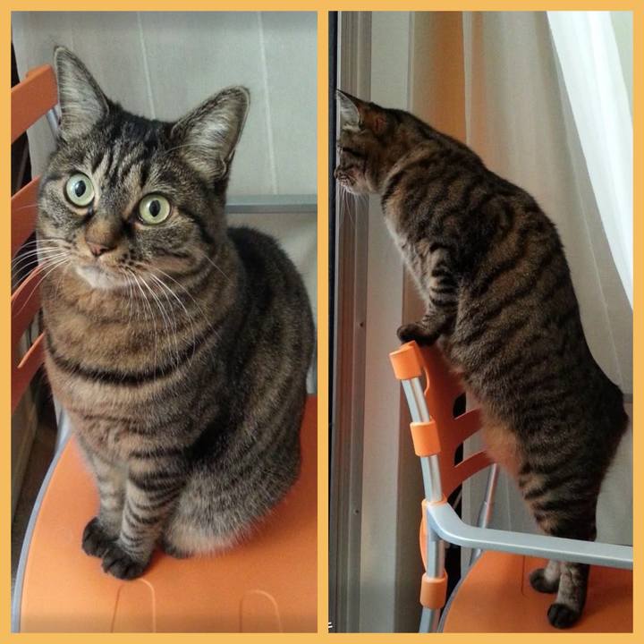 6bb9bdd9 c2f2 493f ae9b 94ed735f68d5 1767436003086