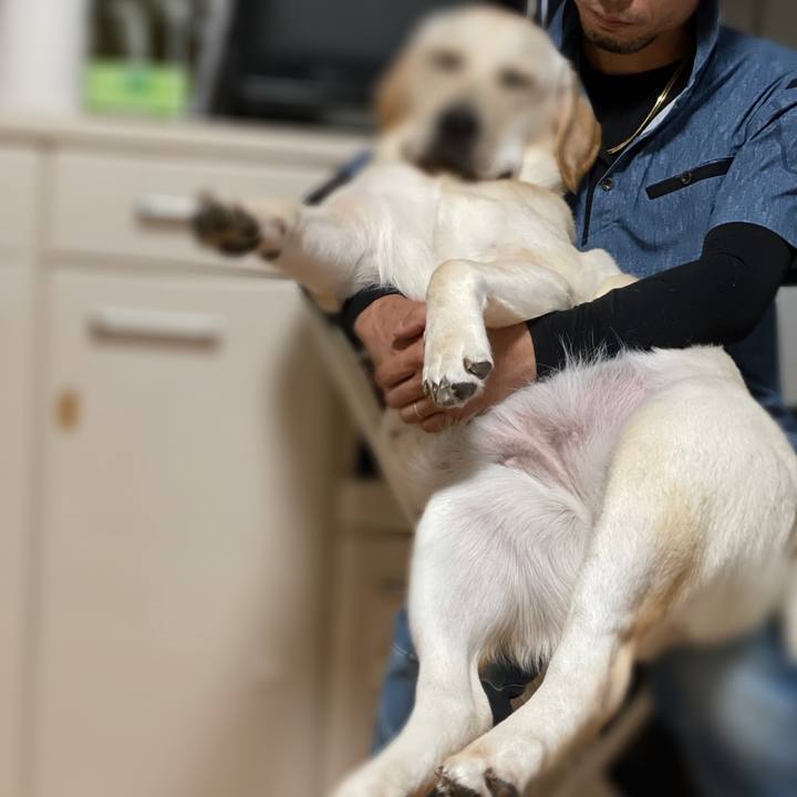 6bb9d8c8 a312 4788 8b21 883174f3372b 1634646368328