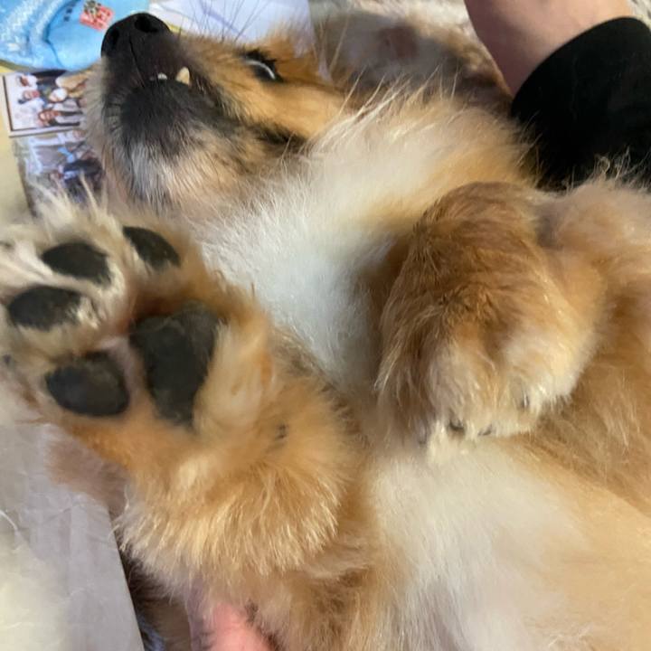 6bb9d946 b15c 4d8e ad3c 2266d5db6483 1593119950486