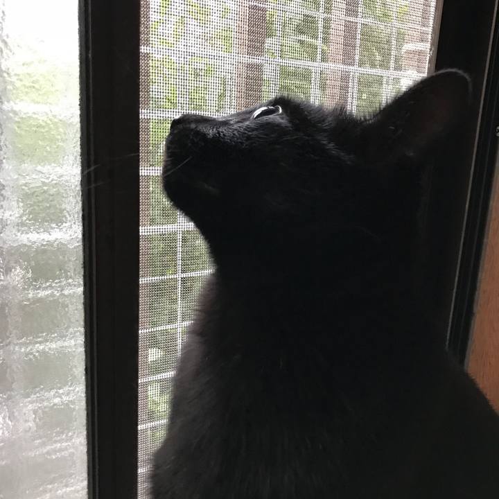 6bb9f997 9292 48f3 9c60 c3e3a725889a 1509240981253