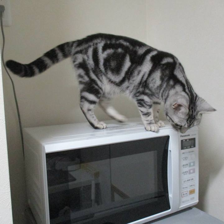 6bba04bc 85a8 4755 9208 be80519b96ff 1551390956946