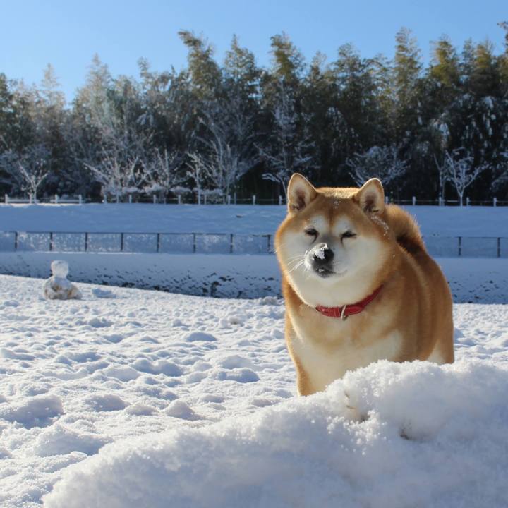 6bba3225 8bc1 401e 83ad 9c75963c25a3 1641701331826