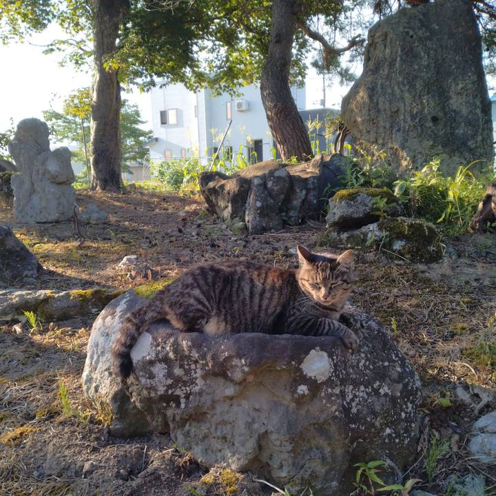 6bba9b12 6031 4a80 9115 5e7ce49dd86e 1691360466600