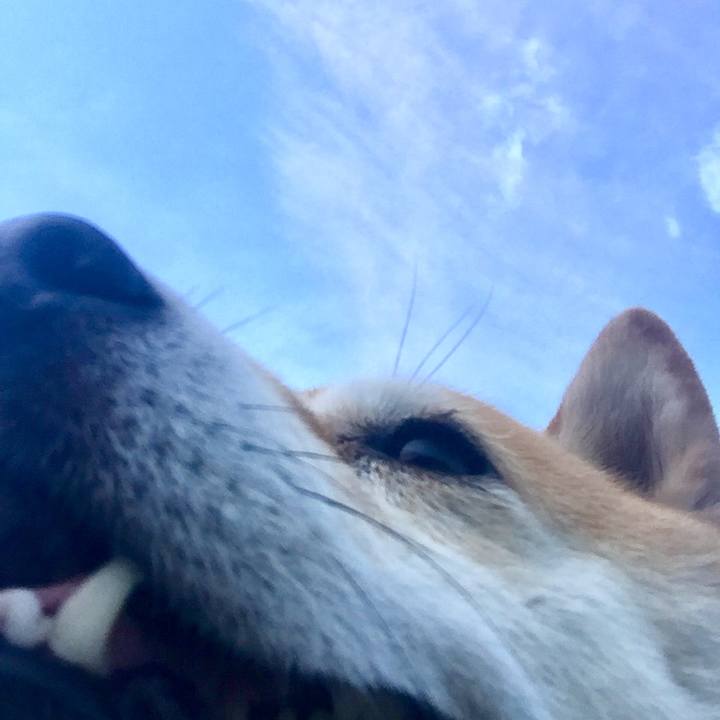 6bbaa37b 843a 46d6 a842 0be34e3fc0c8 1566771309531