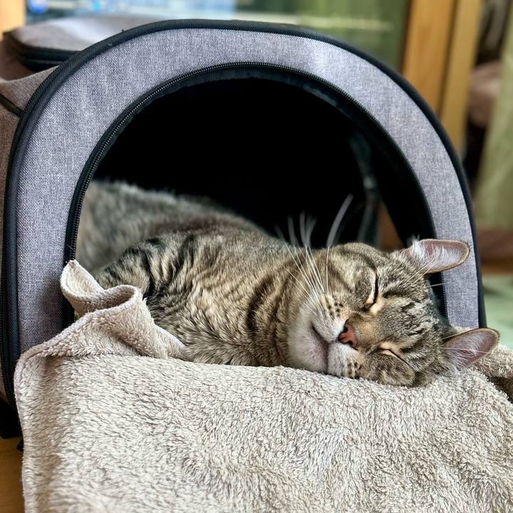 6bbb1472 4e44 44a0 90b3 c8cb8809c5c1 1763954291755