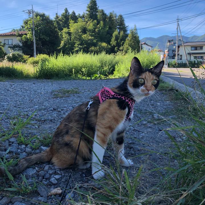 6bbb157b a5cc 488c b394 d20719fd0a90 1534977538472