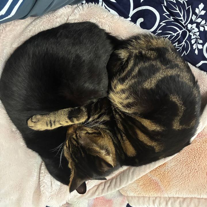 6bbb2cba 0371 41a5 88d3 30932b1e7d8c 1768026643582