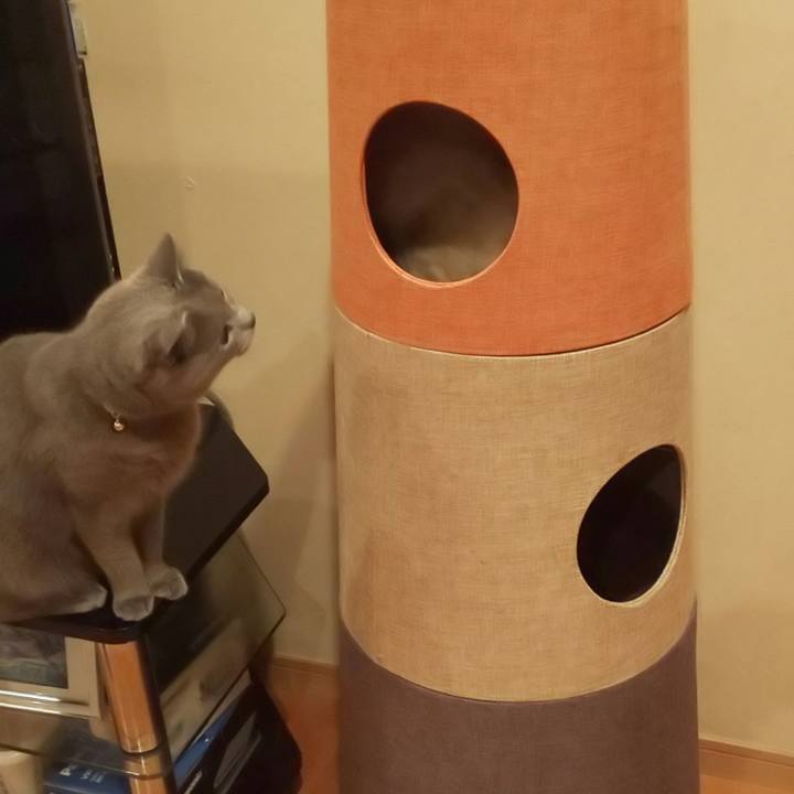 6bbb3257 5c57 460b ba1d d20a5eb6966b 1562042491322