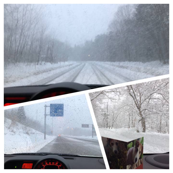 6bbb56dd a069 4afa 8b8f a566a45fcc54 1514283851487