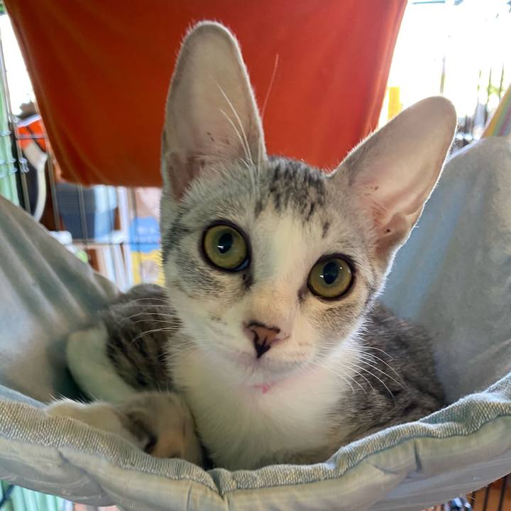 6bbb5d74 8284 4272 9bba 1d873f0482fe 1725426169987