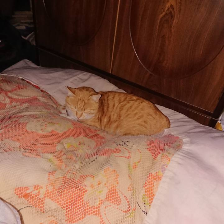 6bbbc61b a081 43a8 86a0 a4be8e18a9a4 1585929571146