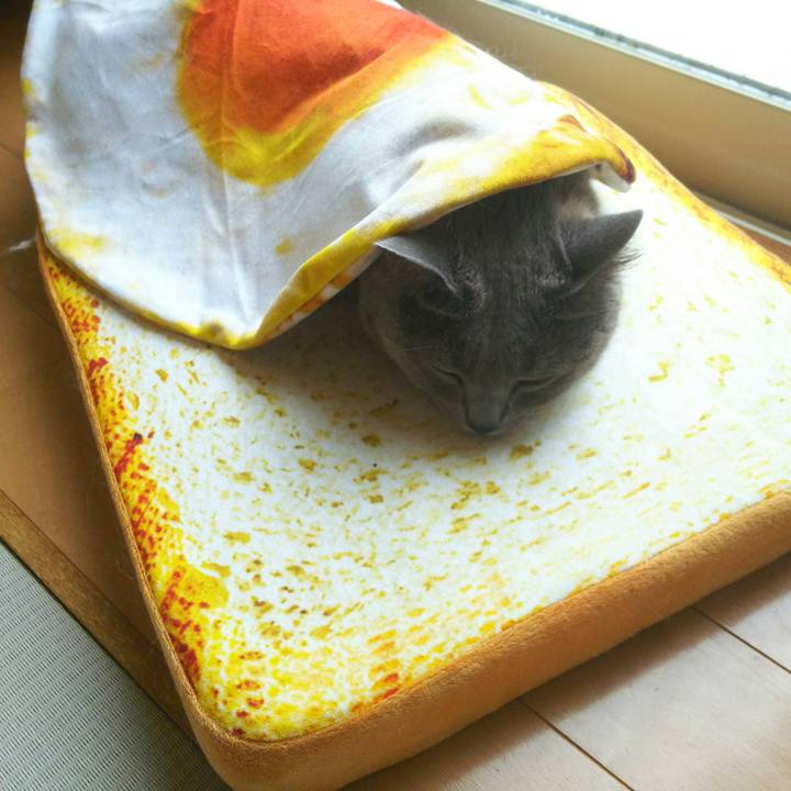 6bbbd13b a37d 44fd b867 c6b499c1bd4b 1527495873999