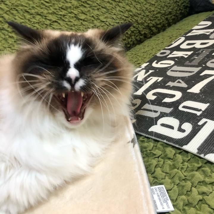 6bbbf471 1a2d 4c35 91a5 f2f9d4df72f0 1550528691410