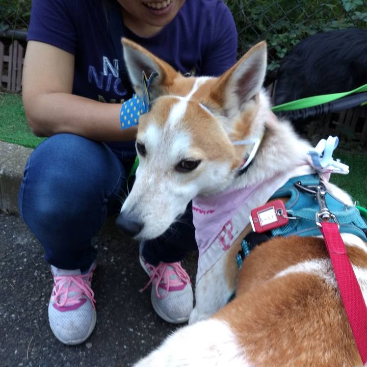 6bbc0303 9acd 4ec4 bcd7 ce453ec83bab 1570326792315