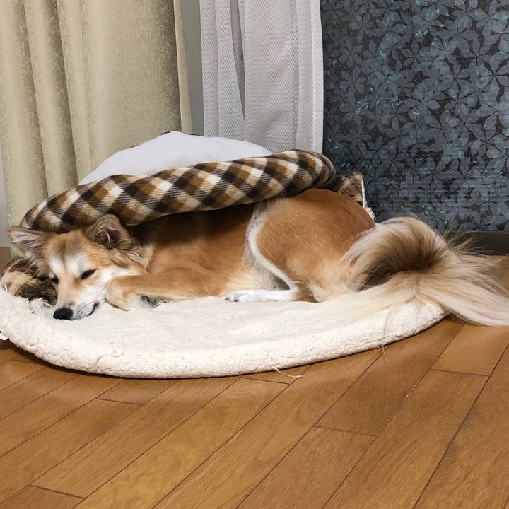 6bbc1fc0 bbb2 4735 83d9 b7a09c891f74 1539430378805