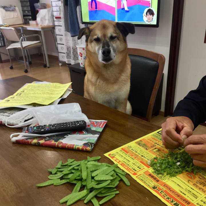 6bbc2d83 e5c9 403c 8e59 5de79f91a563 1558002705601