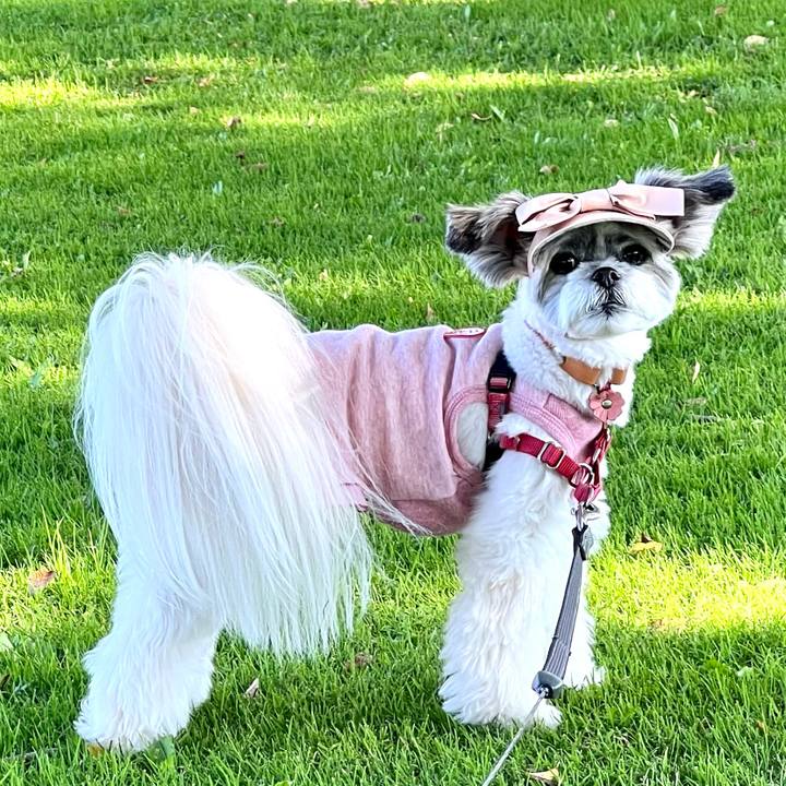 6bbc340e fa44 44df 8f94 cb3003b084f5 1698542382750