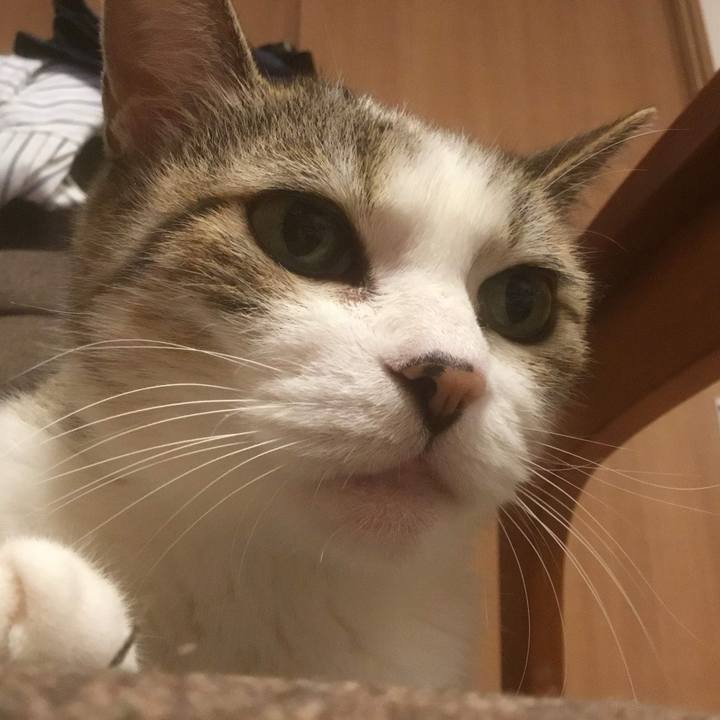 6bbc6937 16a0 4630 b544 b29fbfe0676b 1774392391524