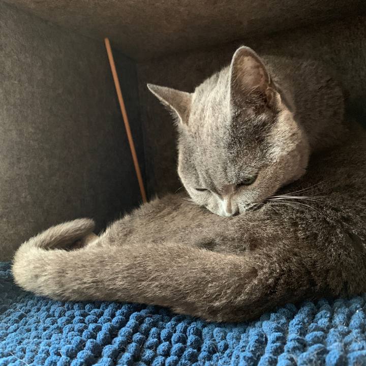 6bbc6f81 0203 4870 8d46 1a7e8fa26fd7 1552516248255