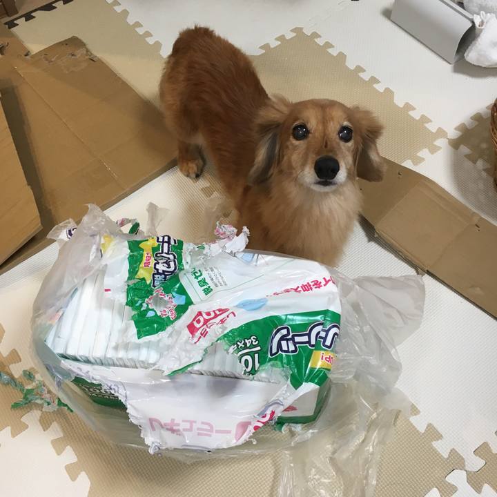 6bbc83df 9530 4305 bd0f 04d8543d38e0 1634133535927