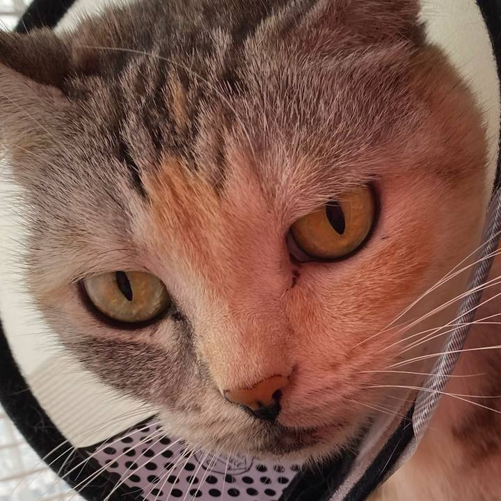 6bbcb8b1 ef43 48d2 9b34 3fad28531c57 1630900438412