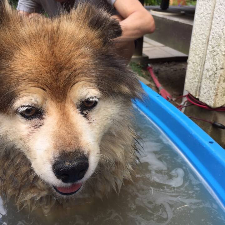 6bbce6df b8a8 4640 98c8 961732e796ed 1565669390891