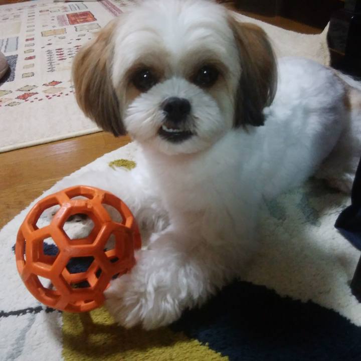 6bbd43ec c0cc 42da 9f99 cbacd7bca086 1530786189038