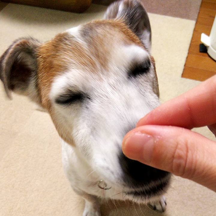 6bbd6694 1c26 49ea 8aa0 ab3137f17df9 1593906270752