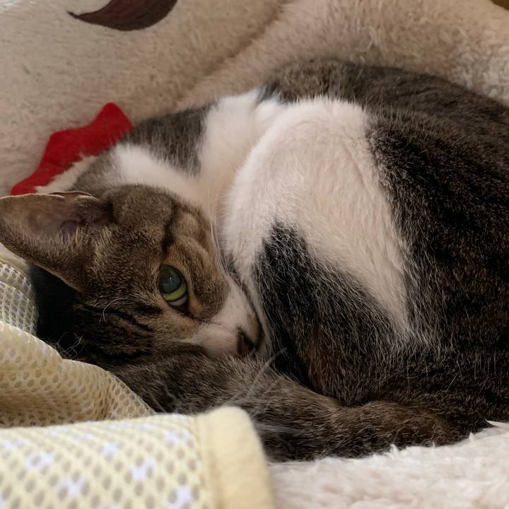 6bbd94e7 42b1 41d8 b581 5b380a34201f 1538012345159