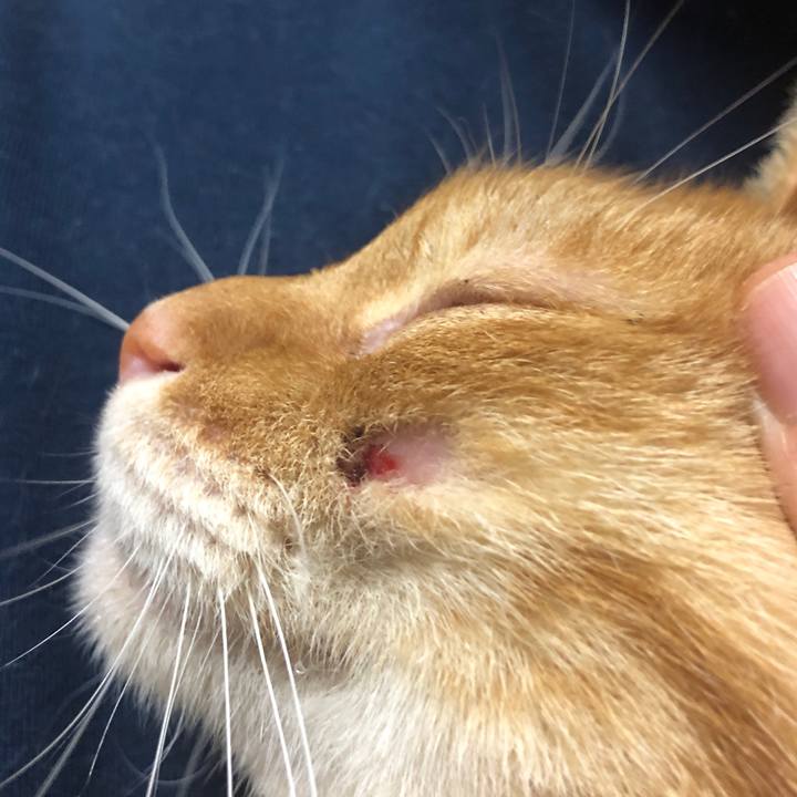 6bbdcbba 4a4a 486a aafd ac3ad9525d23 1731074143417