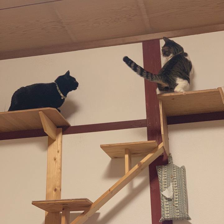 6bbdf0bc 9954 4772 9e35 45d6e40a1069 1581342968253