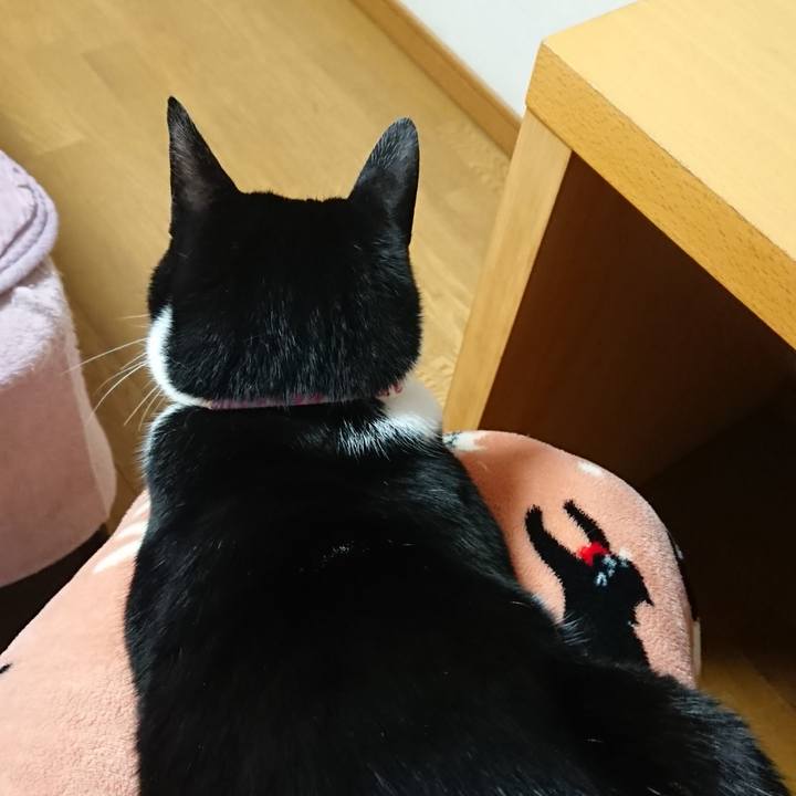 6bbe6e95 8bd3 44f9 a34e 0bf12d3f5c1e 1641682609804