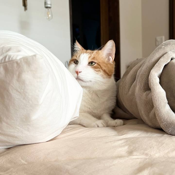 6bbebcc0 775a 4410 909f b59e4f7d6931 1760655918102